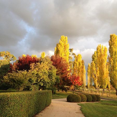 Glen Waverly Farmstay Glen Innes Exterior foto