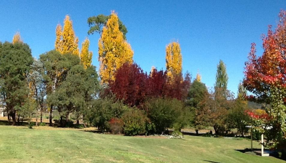 Glen Waverly Farmstay Glen Innes Zimmer foto