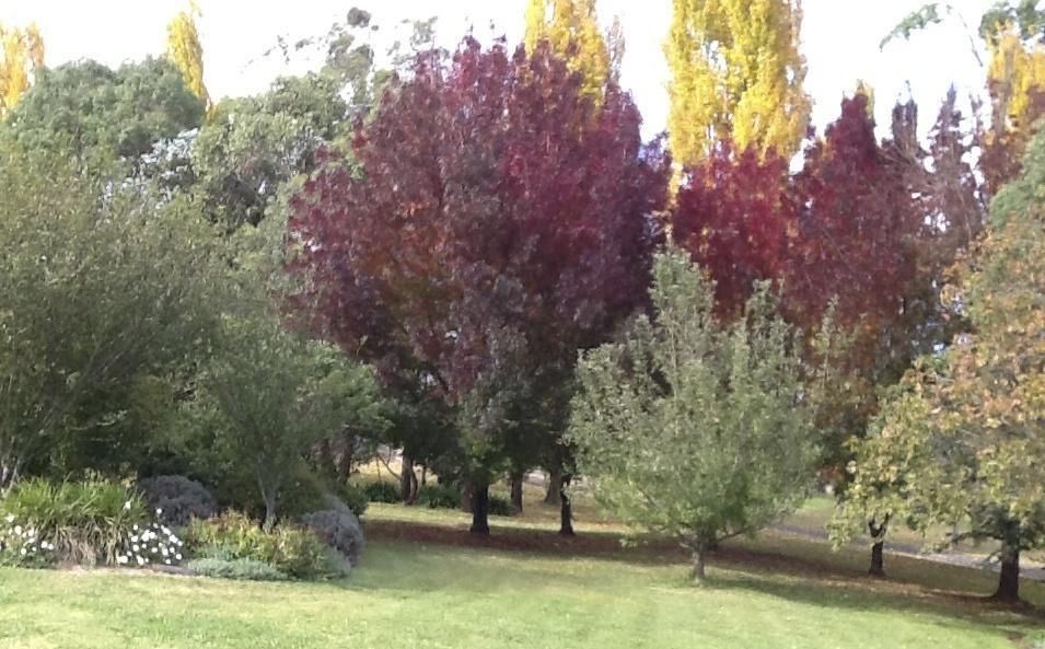 Glen Waverly Farmstay Glen Innes Zimmer foto