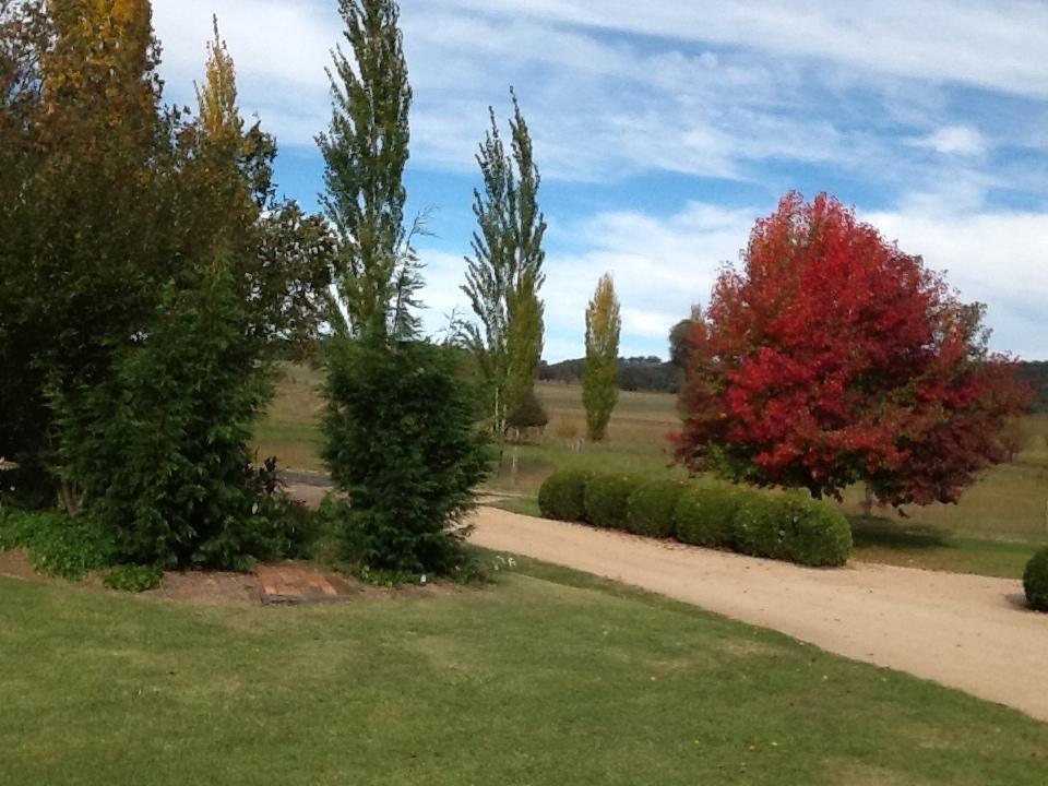 Glen Waverly Farmstay Glen Innes Zimmer foto